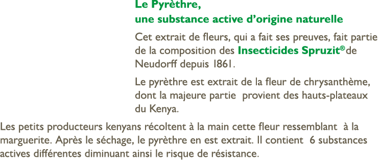 Le Pyr thre, une substance active d’origine naturelle Cet extrait de fleurs, qui a fait ses preuves, fait partie de l...