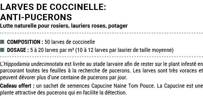 LARVES DE COCCINELLE: ANTI PUCERONS Lutte naturelle pour rosiers, lauriers roses, potager ■ COMPOSITION : 50 larves d...